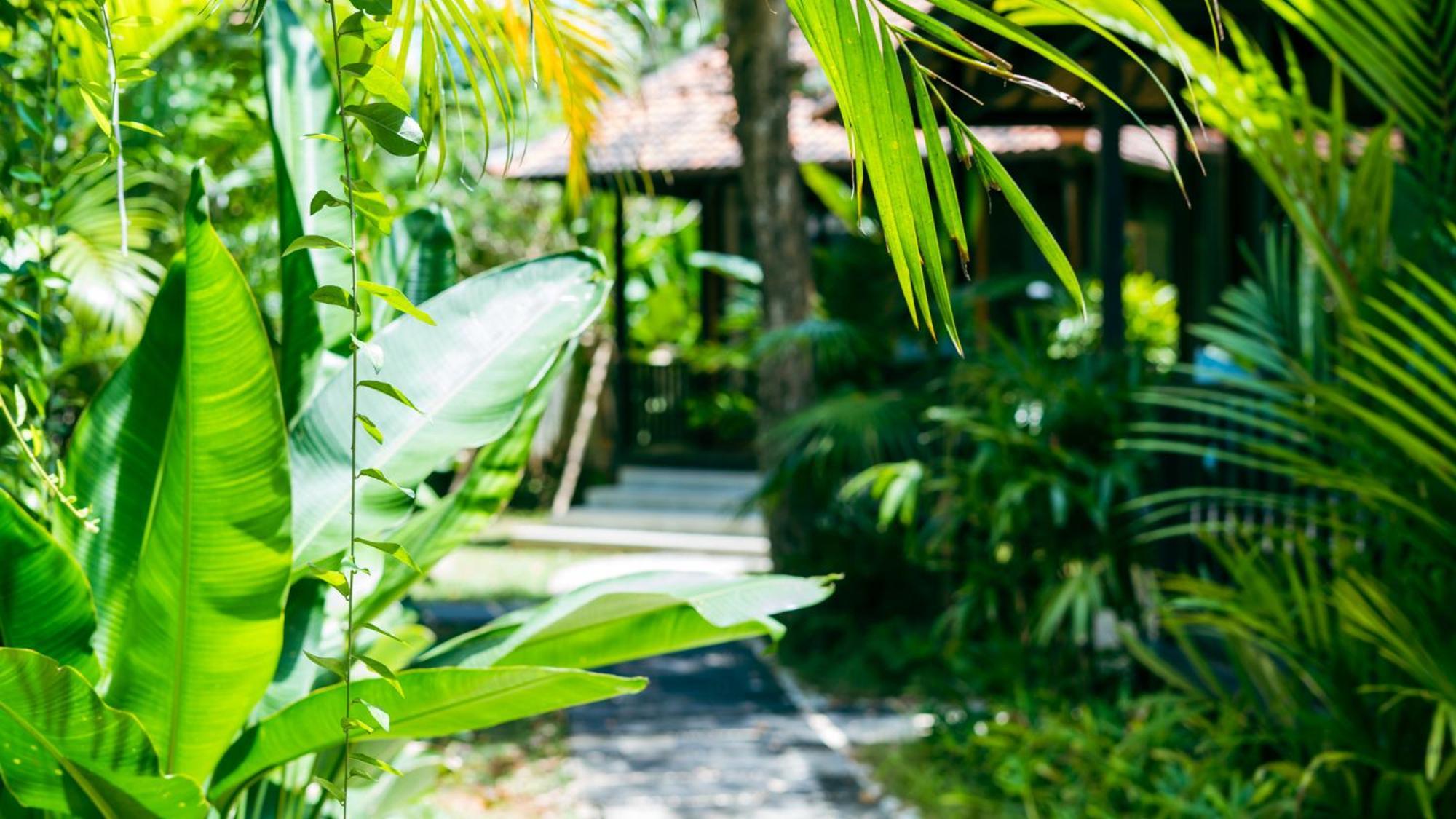 Onaya Bali Resort - Adults Only Uluwatu  Ngoại thất bức ảnh
